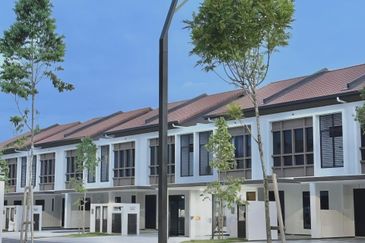 Setia Warisan Tropika (Belladonna)