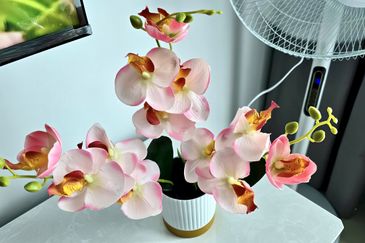 Apex Tower & Vertex Tower @ CyberSquare