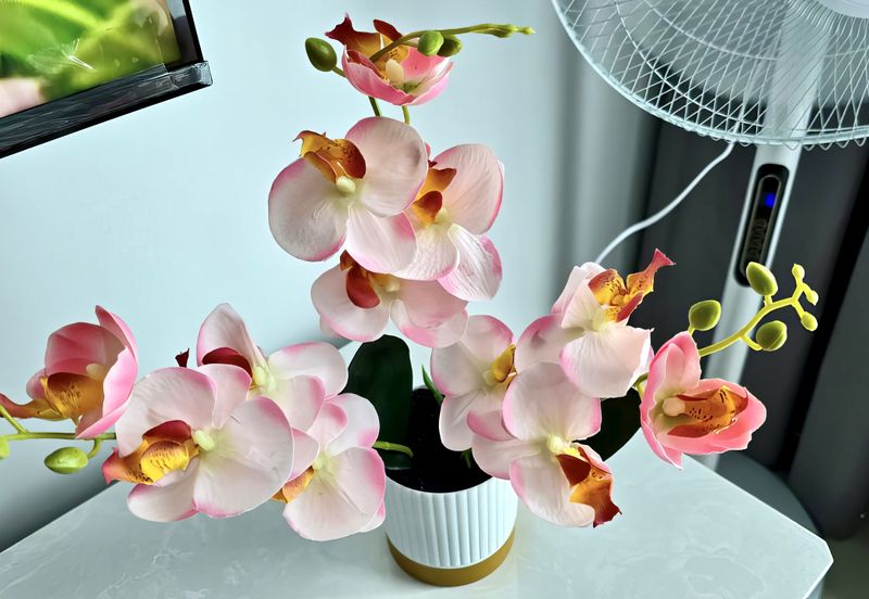 Apex Tower & Vertex Tower @ CyberSquare