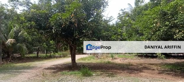 Oil Palm Land @ Batu Balai Ulu Cheka Jerantut Pahang For Sale, Pahang, Jerantut