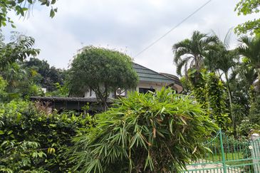 Jalan Limau Kasturi 