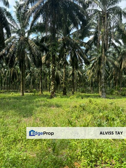 Senai🍎Seelong Land For Sale / 4.95 Acres /  Current Land use Agriculture / zoning landuse industrial , Johor, Senai