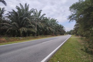 Pekan Nanas 🚩32哩🚩Pontian🚩准屋业地 / Zoning Residential Land / 15 Acres Land / Facing main road 