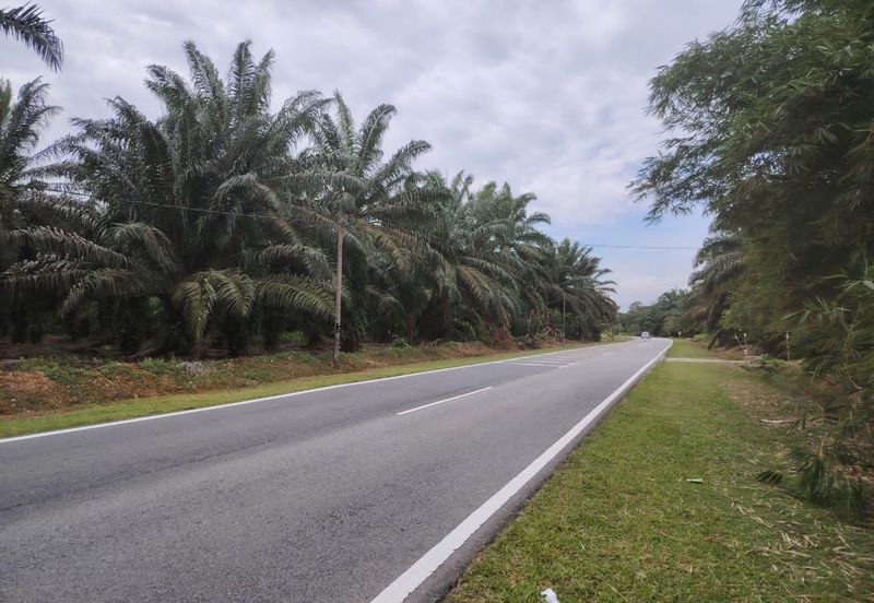 Pekan Nanas 🚩32哩🚩Pontian🚩准屋业地 / Zoning Residential Land / 15 Acres Land / Facing main road 