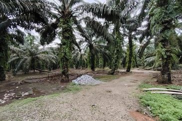 Pekan Nanas 🚩32哩🚩Pontian🚩准屋业地 / Zoning Residential Land / 15 Acres Land / Facing main road 