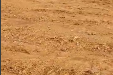 Senai Industrial Park