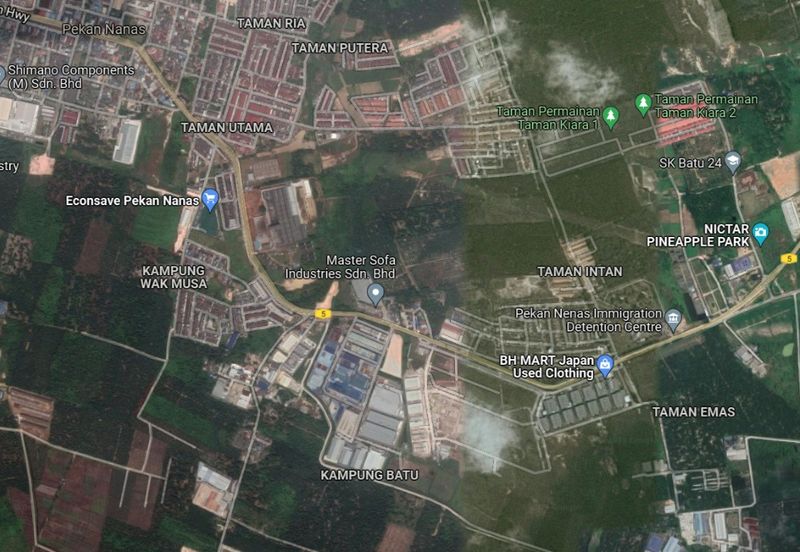 Commercial Land At Pekan Nanas For Rent