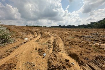 Senai Medium Industry Land For Sale