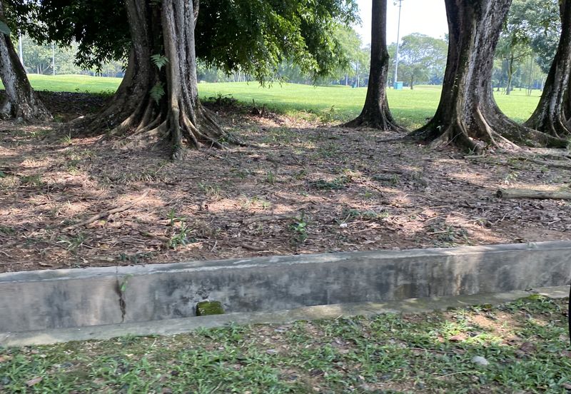 Kelab Golf Sultan Abdul Aziz Shah