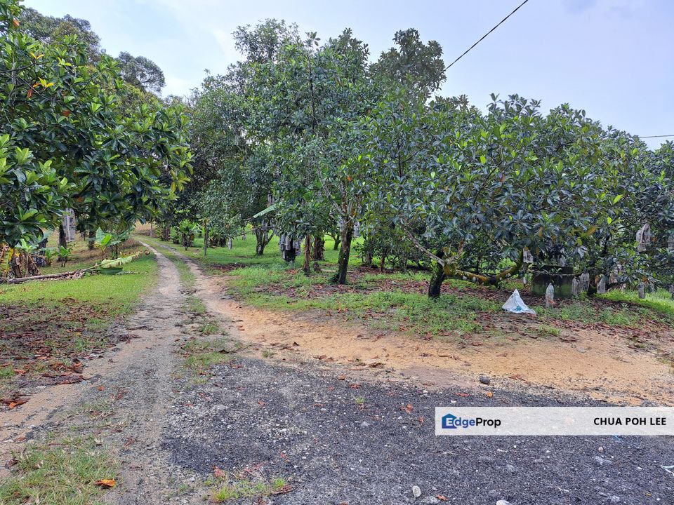 Land for Sales at Jalan Sungai Tekali, Selangor, Kajang