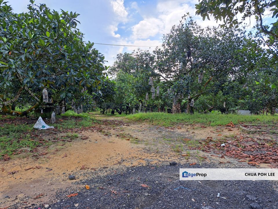 Land for Sales at Jalan Sungai Tekali, Selangor, Kajang