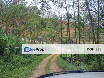 Agriculture Land for sales at Karak, Bentong, Pahang, Pahang, Bentong