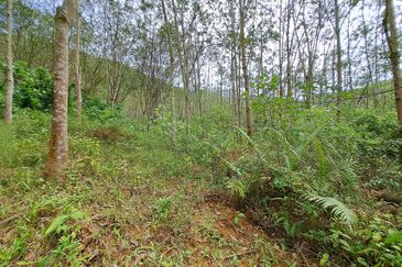 KAMPUNG TANJUNG, KARAK