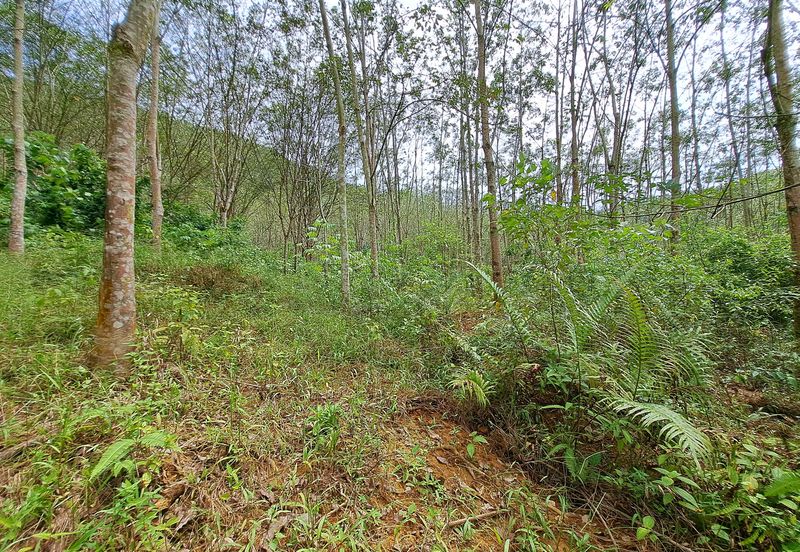 KAMPUNG TANJUNG, KARAK