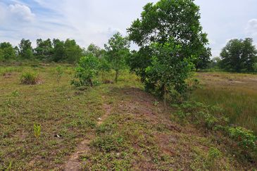 Cipta Industrial Park @ Serenia City