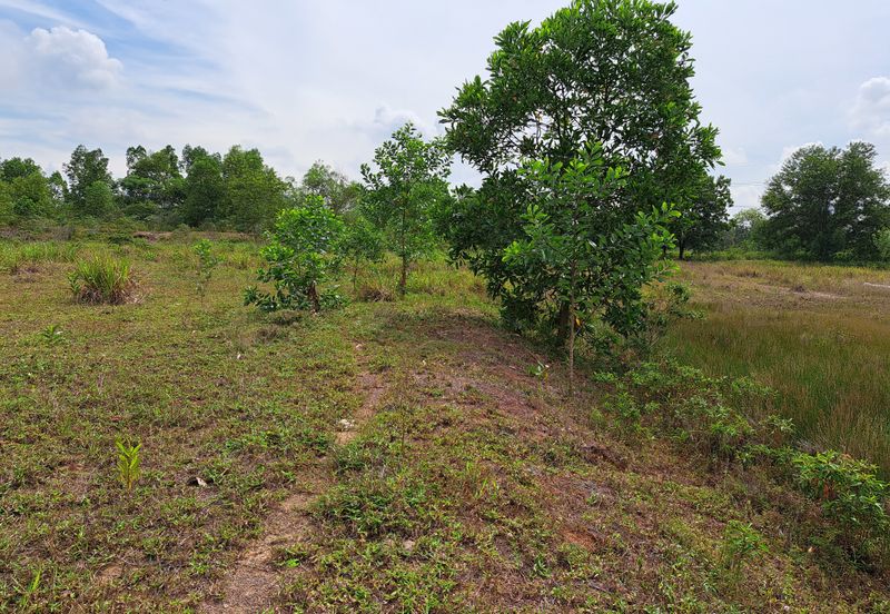 Cipta Industrial Park @ Serenia City