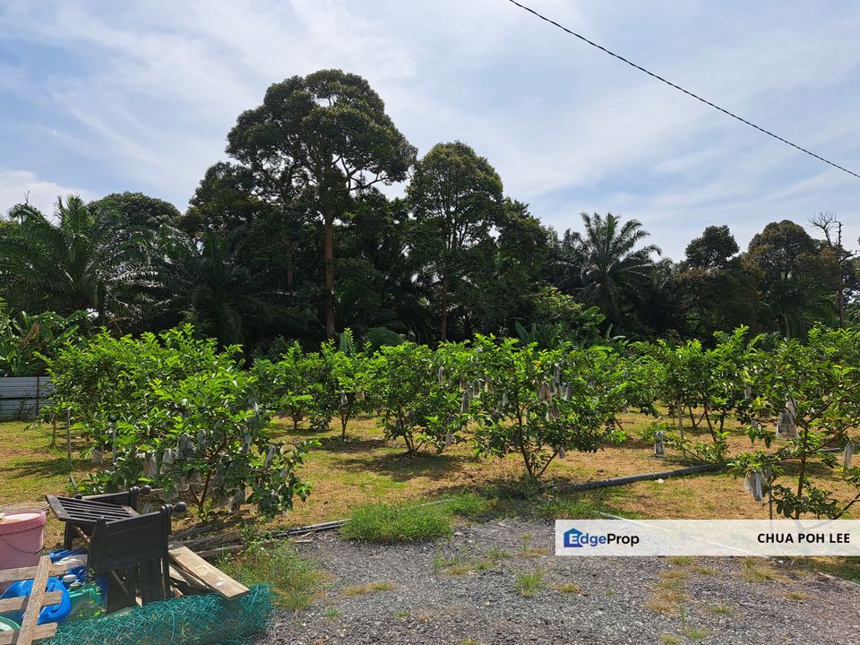 Land for Sales at Dengkil, Selangor, Selangor, Dengkil