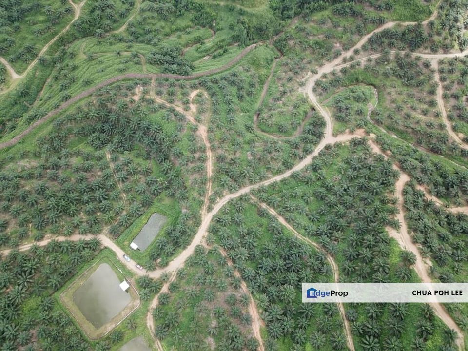 Land for Sales at Lahad Datu, Sabah, Lahad Datu