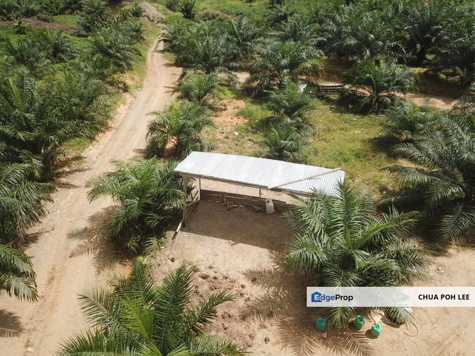 Land for Sales at Lahad Datu, Sabah, Lahad Datu