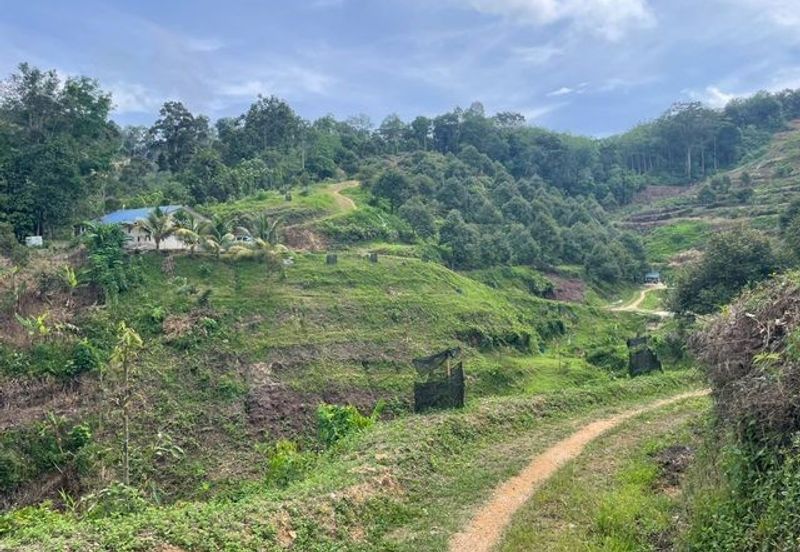 Agriculture land for sales at Karak, Bentong, Pahang