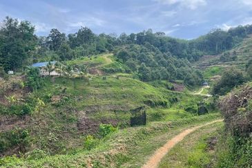 Agriculture land for sales at Karak, Bentong, Pahang