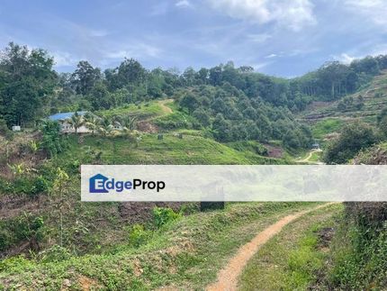 Agriculture land for sales at Karak, Bentong, Pahang, Pahang, Karak