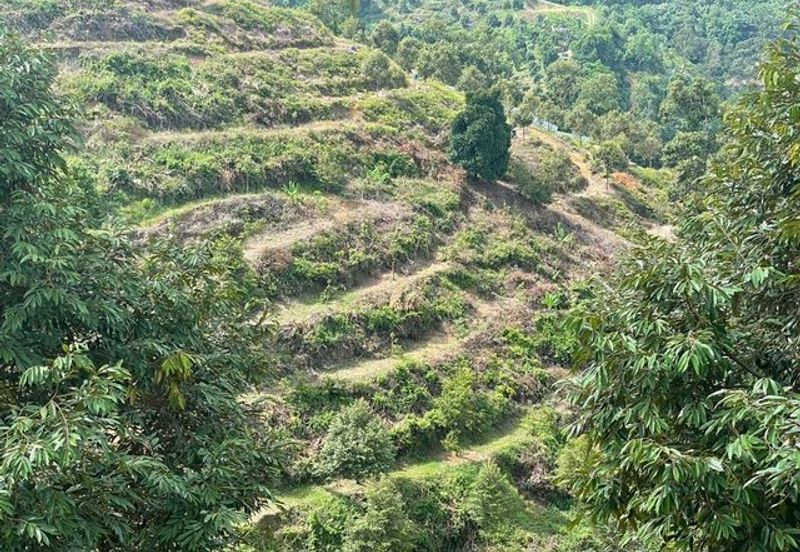 Agriculture land for sales at Karak, Bentong, Pahang