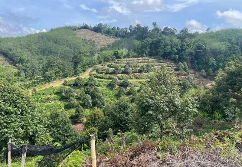 Agriculture land for sales at Karak, Bentong, Pahang