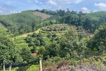 Agriculture land for sales at Karak, Bentong, Pahang