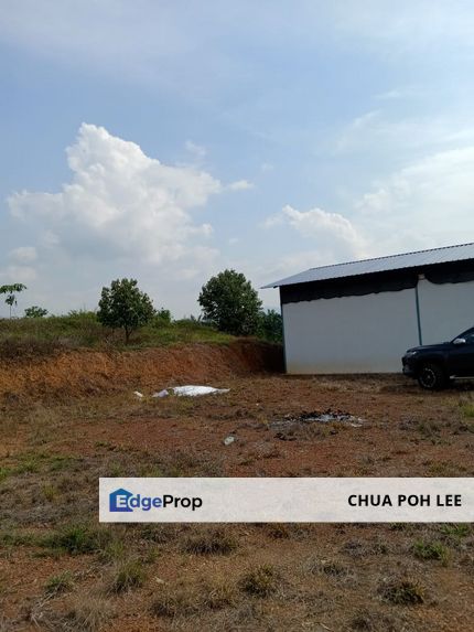 Durian Farm for Sales at Simpang Pertang, Jelebu, Negeri Sembilan, Negeri Sembilan, Jelebu