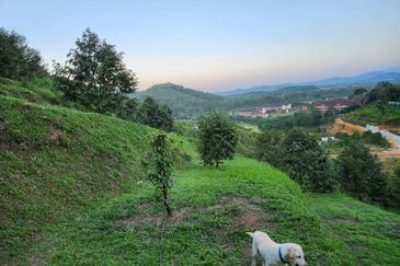 Pekan Ulu Yam (Lama)