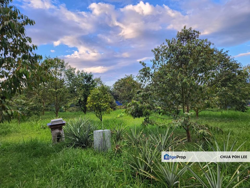 Agriculture Land for Sales, Selangor, Batang Kali