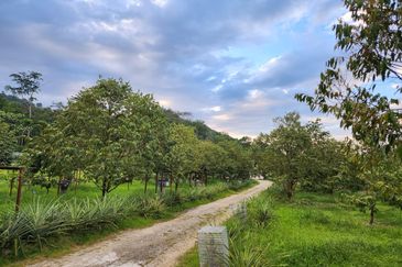 Pekan Ulu Yam (Lama)