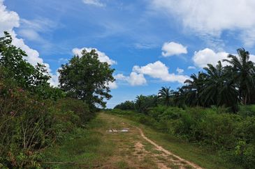 Kawasan Perindustrian Banting