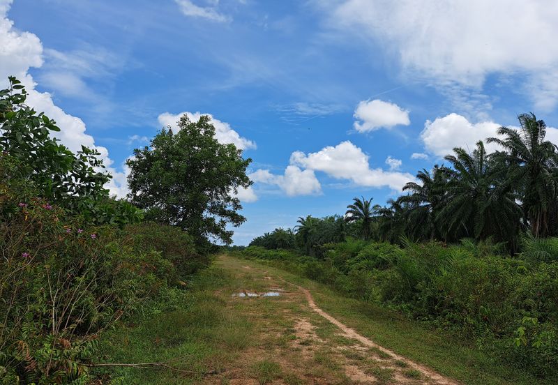 Kawasan Perindustrian Banting