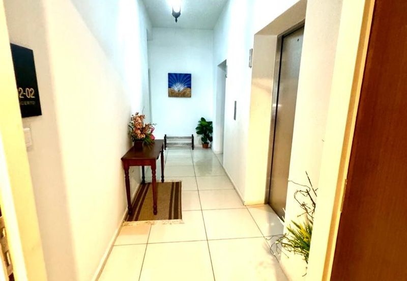 Concerto North Kiara