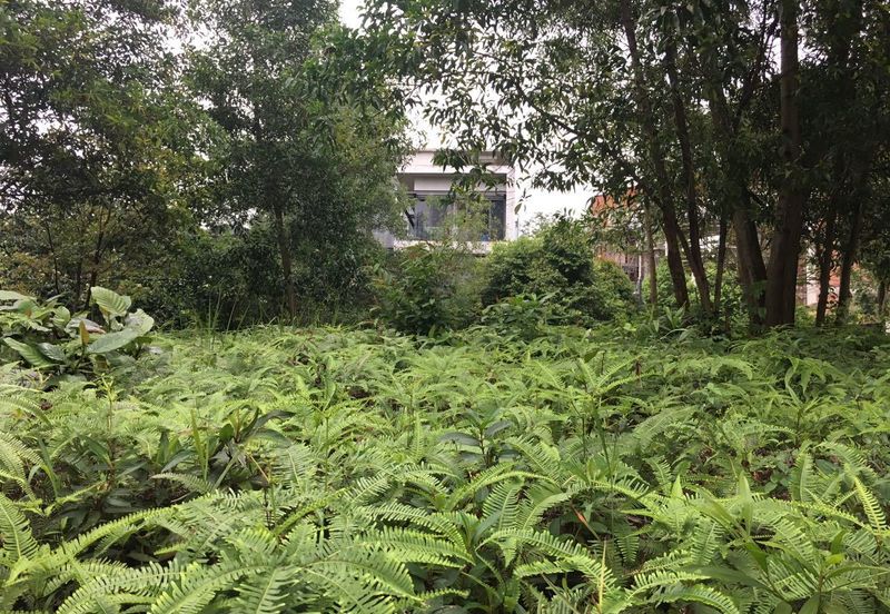 Country Heights Damansara Bungalow Land for Sale