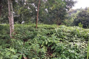 Country Heights Damansara Bungalow Land for Sale