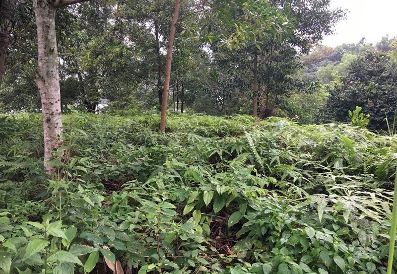 Country Heights Damansara Bungalow Land for Sale