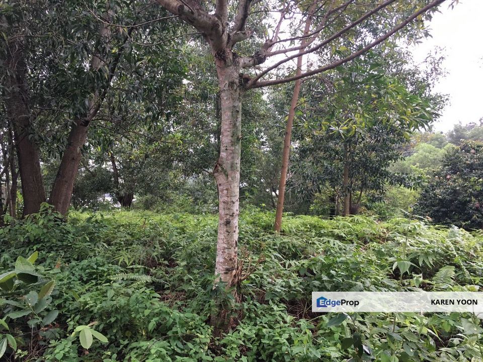 Country Heights Damansara Bungalow Land for Sale, Kuala Lumpur, Country Heights Damansara