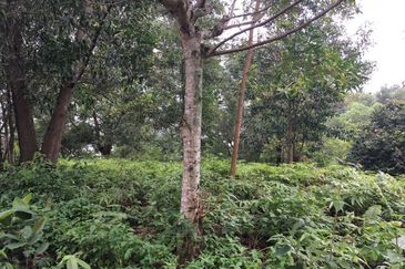 Country Heights Damansara Bungalow Land for Sale