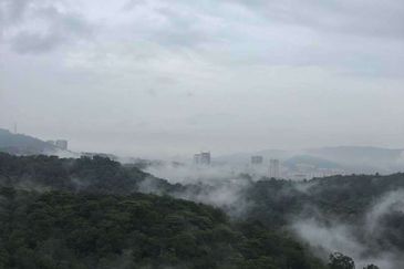 Country Heights Bungalow Land for Sale