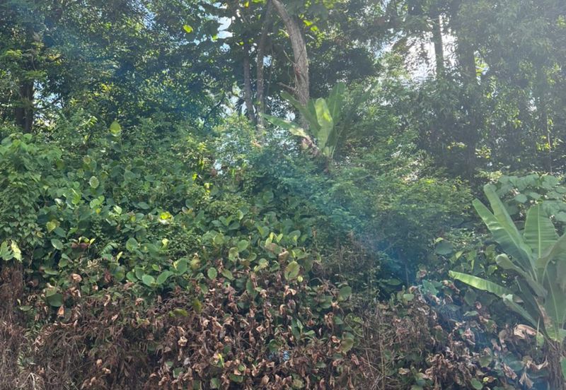 Country Heights Damansara Bungalow Land for Sale