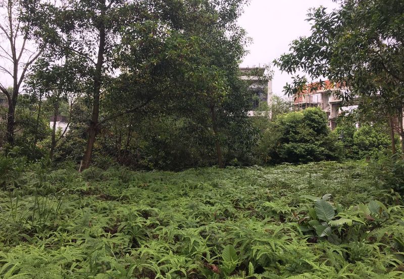 Country Heights Damansara Bungalow Land for Sale