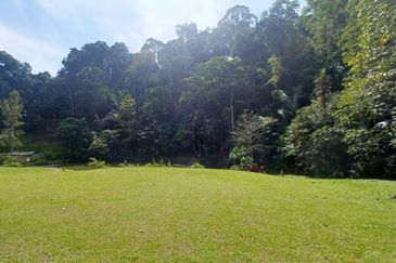 Janda Baik - Cooling And Natural Place, A Quick Escape From City