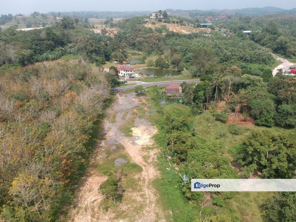 Banting Palm Oil Land For Sale for Sale RM825,000 By EDDY LUM