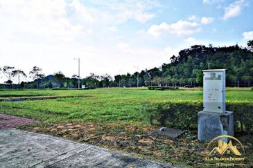 Gentlebre @ Eco Majestic