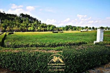 Gentlebre @ Eco Majestic