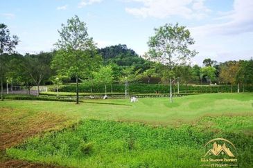 Gentlebre @ Eco Majestic