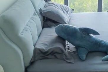 The Cruise Residence